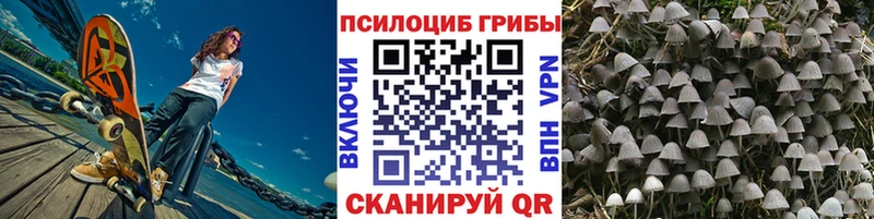 Галлюциногенные грибы Cubensis даркнет сайт нарко площадка формула Ленск